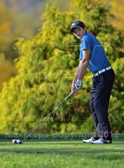 Thumbnail 3 in PIAA Boys Golf Championships photogallery.