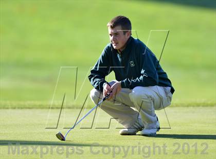 Thumbnail 1 in PIAA Boys Golf Championships photogallery.