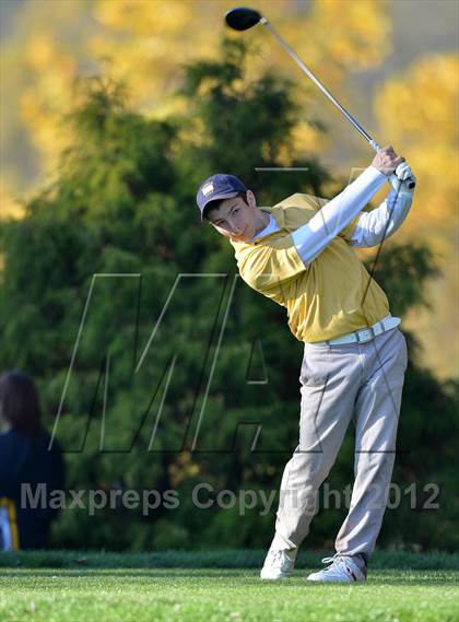 Thumbnail 1 in PIAA Boys Golf Championships photogallery.