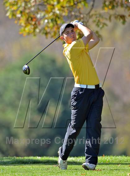 Thumbnail 3 in PIAA Boys Golf Championships photogallery.