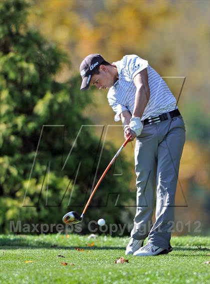 Thumbnail 3 in PIAA Boys Golf Championships photogallery.