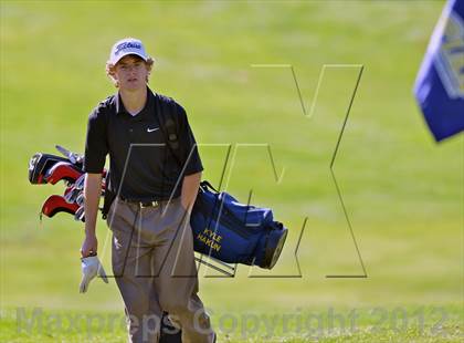 Thumbnail 3 in PIAA Boys Golf Championships photogallery.