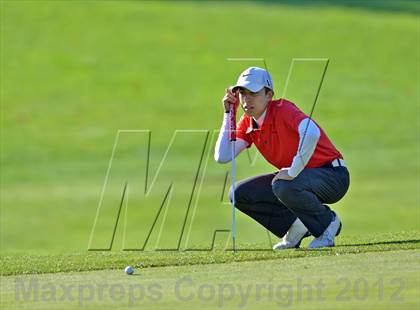 Thumbnail 1 in PIAA Boys Golf Championships photogallery.