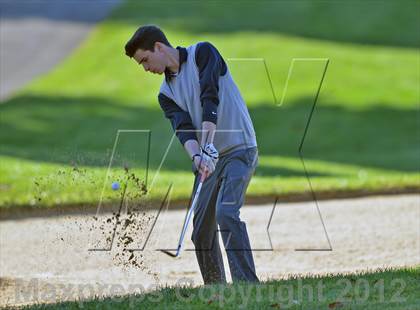 Thumbnail 2 in PIAA Boys Golf Championships photogallery.