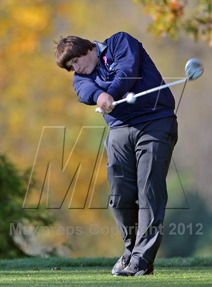 Thumbnail 2 in PIAA Boys Golf Championships photogallery.