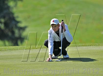 Thumbnail 1 in PIAA Boys Golf Championships photogallery.