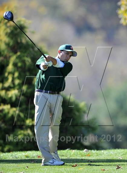 Thumbnail 1 in PIAA Boys Golf Championships photogallery.