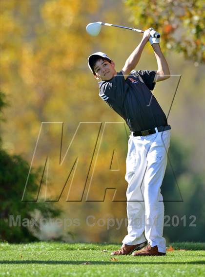 Thumbnail 1 in PIAA Boys Golf Championships photogallery.
