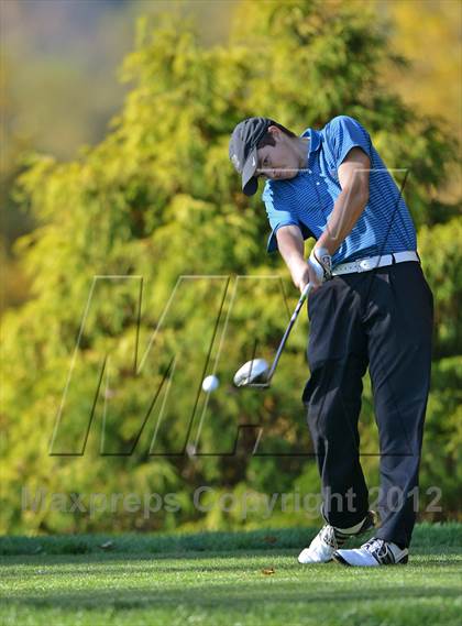 Thumbnail 1 in PIAA Boys Golf Championships photogallery.