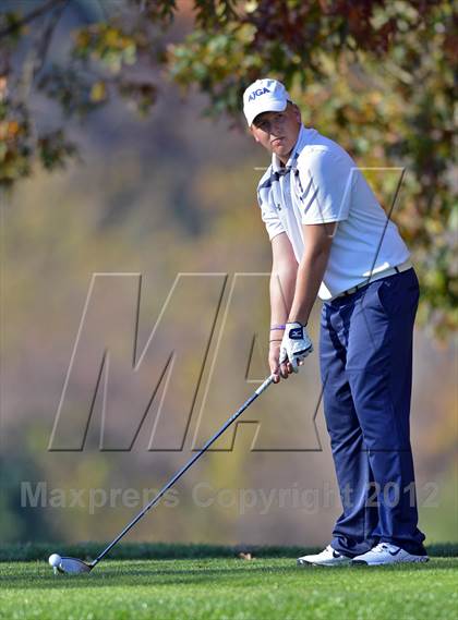 Thumbnail 2 in PIAA Boys Golf Championships photogallery.