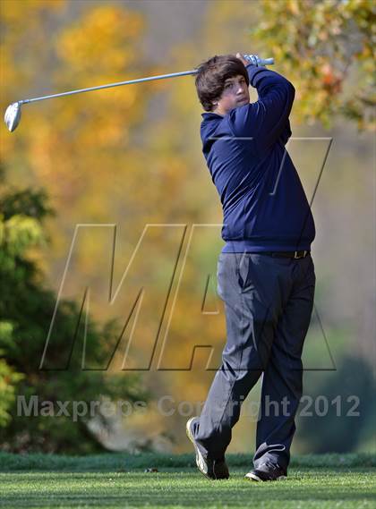 Thumbnail 3 in PIAA Boys Golf Championships photogallery.