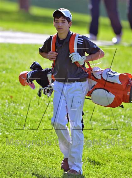 Thumbnail 1 in PIAA Boys Golf Championships photogallery.