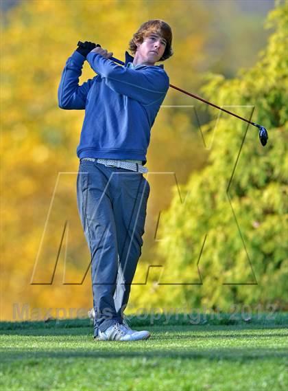 Thumbnail 3 in PIAA Boys Golf Championships photogallery.