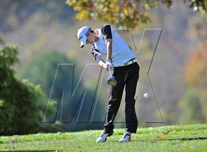 Thumbnail 3 in PIAA Boys Golf Championships photogallery.