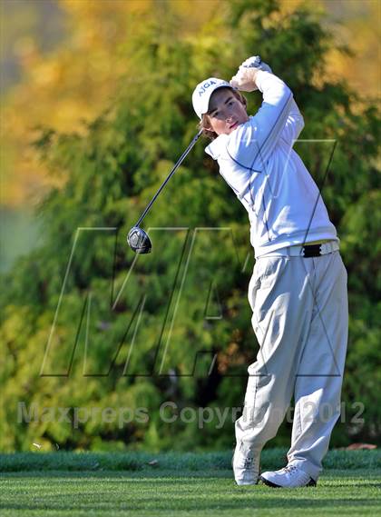 Thumbnail 1 in PIAA Boys Golf Championships photogallery.