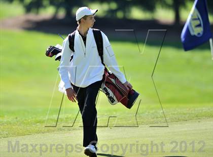Thumbnail 2 in PIAA Boys Golf Championships photogallery.