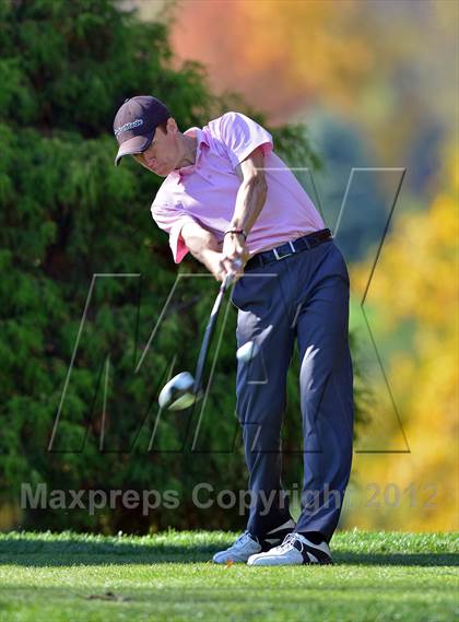 Thumbnail 3 in PIAA Boys Golf Championships photogallery.