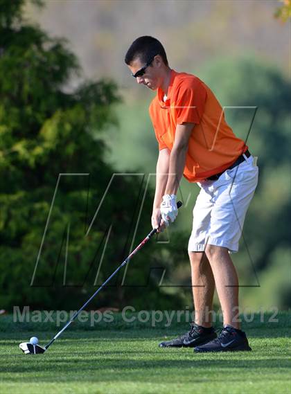 Thumbnail 1 in PIAA Boys Golf Championships photogallery.