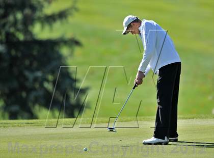 Thumbnail 2 in PIAA Boys Golf Championships photogallery.