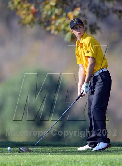 Thumbnail 3 in PIAA Boys Golf Championships photogallery.