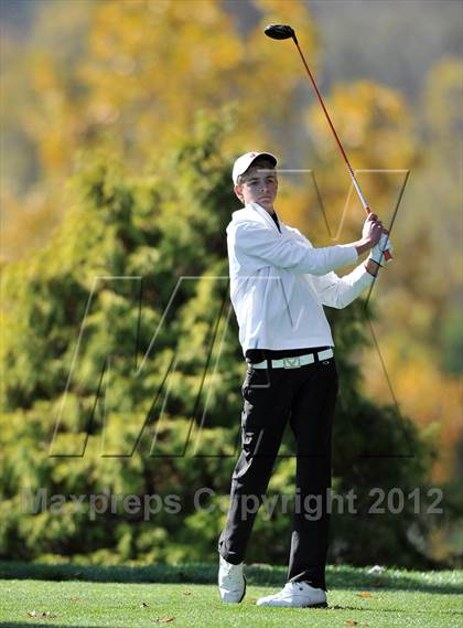 Thumbnail 2 in PIAA Boys Golf Championships photogallery.