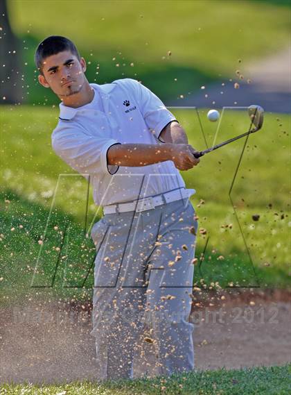 Thumbnail 2 in PIAA Boys Golf Championships photogallery.