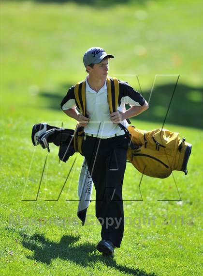 Thumbnail 2 in PIAA Boys Golf Championships photogallery.