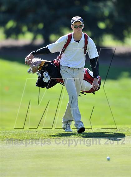 Thumbnail 1 in PIAA Boys Golf Championships photogallery.