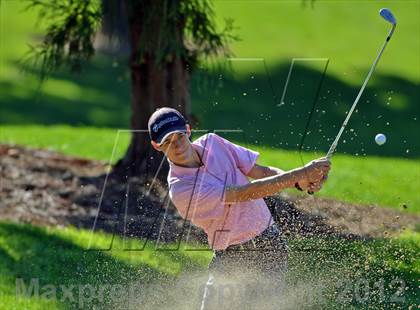 Thumbnail 3 in PIAA Boys Golf Championships photogallery.