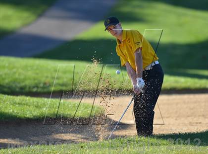 Thumbnail 2 in PIAA Boys Golf Championships photogallery.