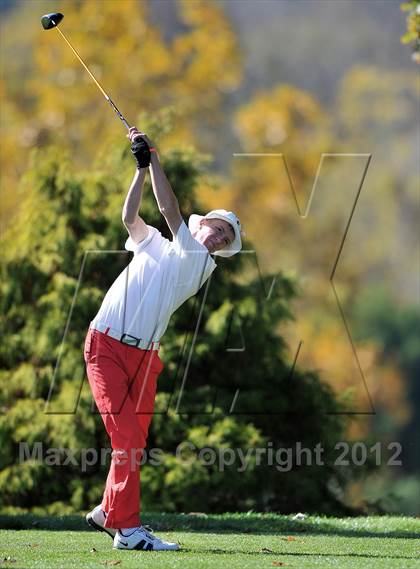 Thumbnail 3 in PIAA Boys Golf Championships photogallery.