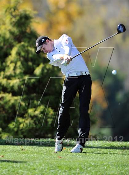 Thumbnail 2 in PIAA Boys Golf Championships photogallery.