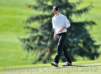 Thumbnail 3 in PIAA Boys Golf Championships photogallery.