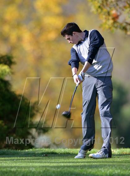 Thumbnail 1 in PIAA Boys Golf Championships photogallery.