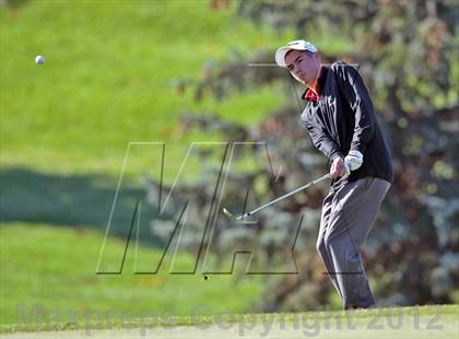Thumbnail 1 in PIAA Boys Golf Championships photogallery.