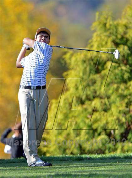 Thumbnail 1 in PIAA Boys Golf Championships photogallery.
