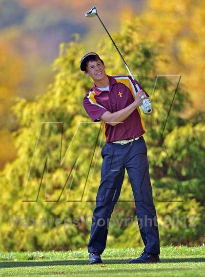 Thumbnail 1 in PIAA Boys Golf Championships photogallery.