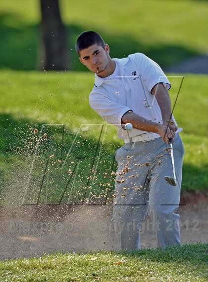 Thumbnail 1 in PIAA Boys Golf Championships photogallery.