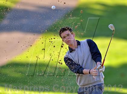 Thumbnail 3 in PIAA Boys Golf Championships photogallery.