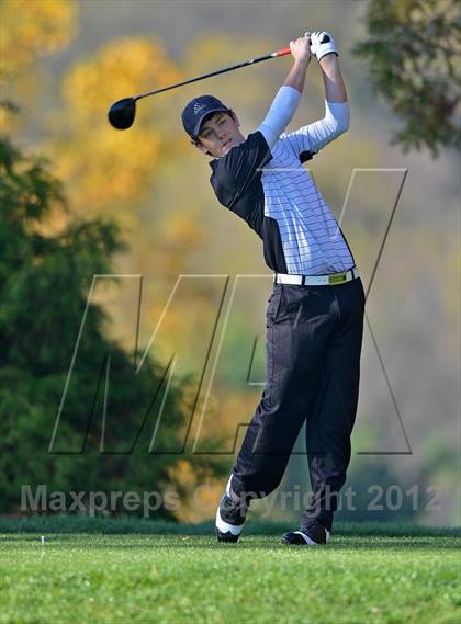 Thumbnail 3 in PIAA Boys Golf Championships photogallery.
