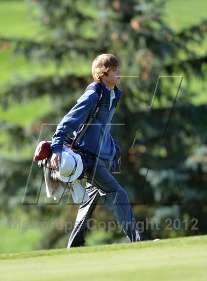 Thumbnail 1 in PIAA Boys Golf Championships photogallery.