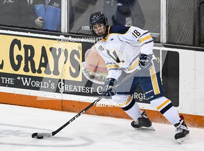 Thumbnail 3 in Victor vs. Pittsford (Section 5 Semifinal) photogallery.