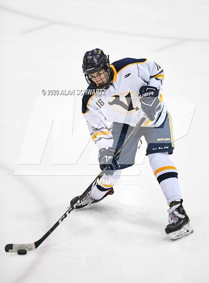Thumbnail 1 in Victor vs. Pittsford (Section 5 Semifinal) photogallery.