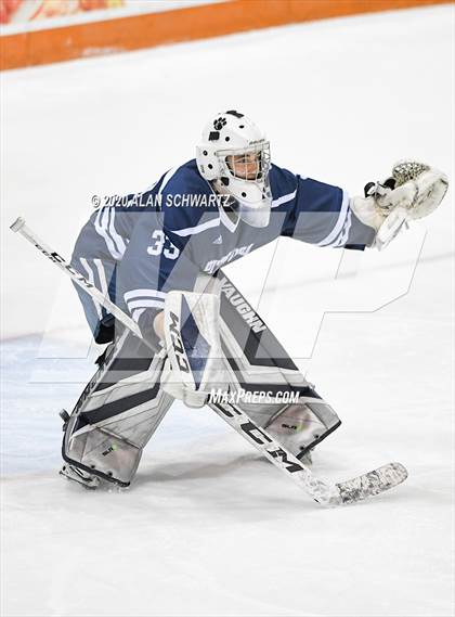 Thumbnail 3 in Victor vs. Pittsford (Section 5 Semifinal) photogallery.