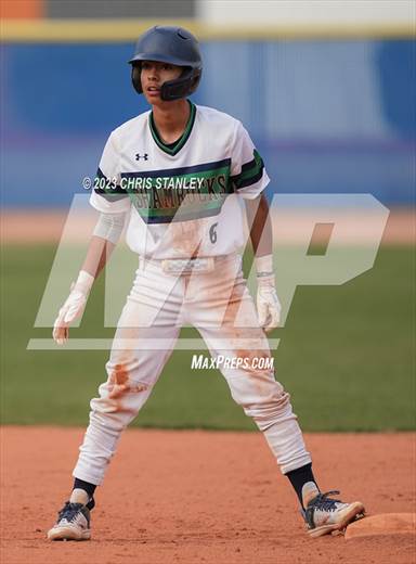 null - Photo 01