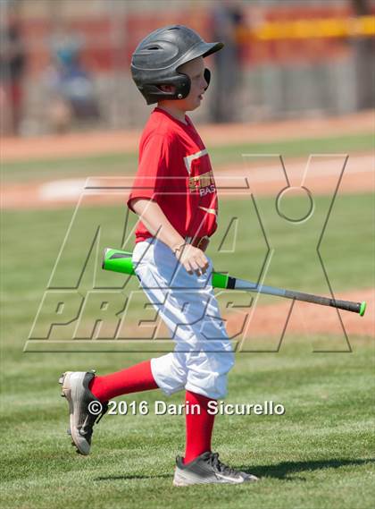 Thumbnail 2 in Whittier Christian @ Seton Catholic (Coach Bob National Invitational) photogallery.