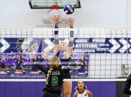 Thumbnail 2 in Bonham @ Tioga photogallery.