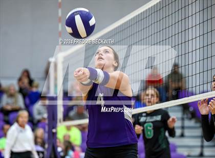 Thumbnail 1 in Bonham @ Tioga photogallery.