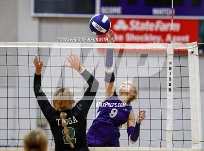 Thumbnail 2 in Bonham @ Tioga photogallery.