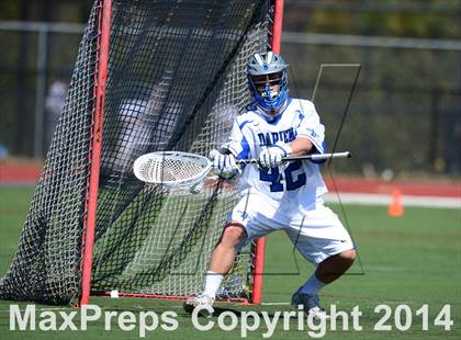 Thumbnail 1 in Niskayuna @ Darien photogallery.